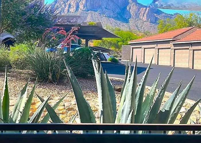 Catalina Location Peaceful Near Parks Apartment *