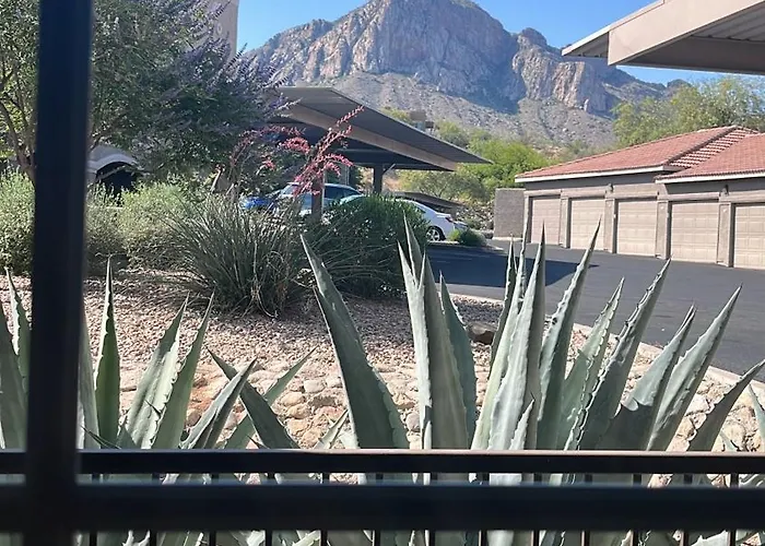 Catalina Location Peaceful Near Parks